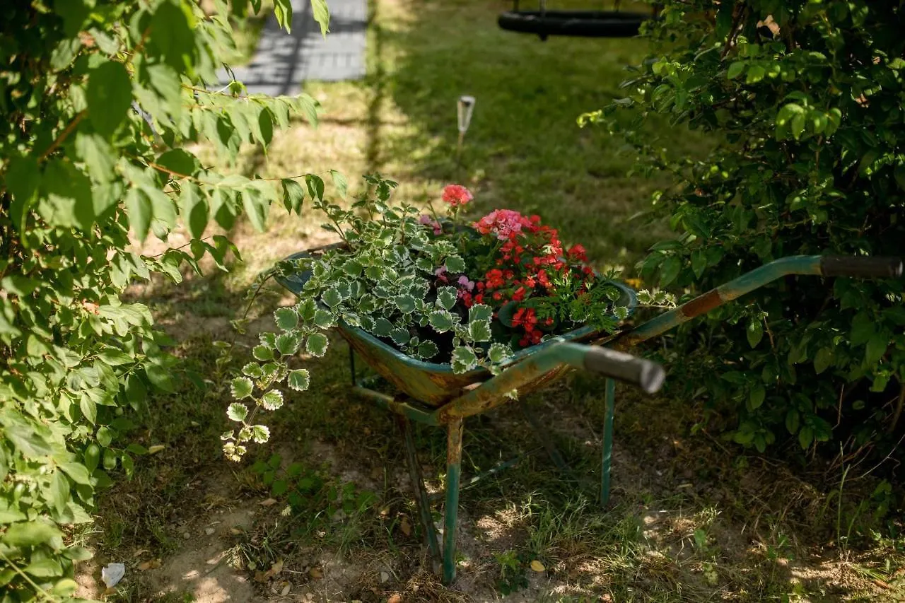 Lejlighed Apartmani Ana & Milo Lopar